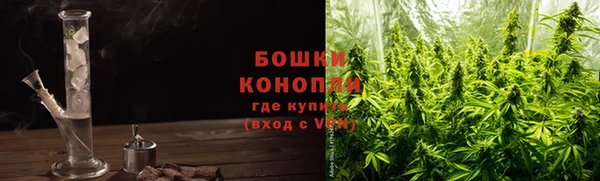 сатива Балахна