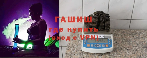 сатива Балахна