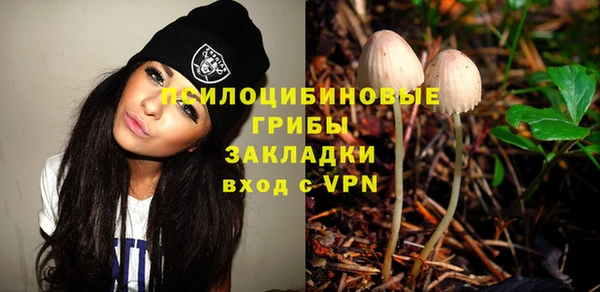 сатива Балахна