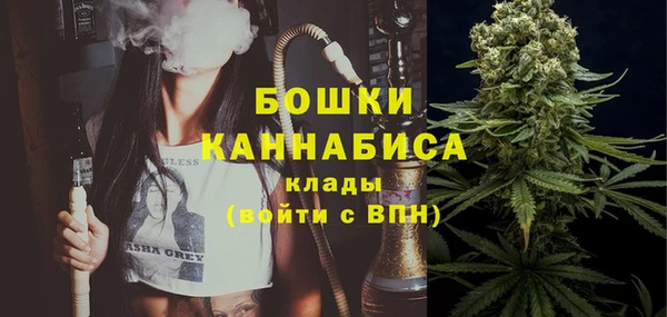 сатива Балахна