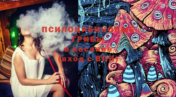 амф Слюдянка