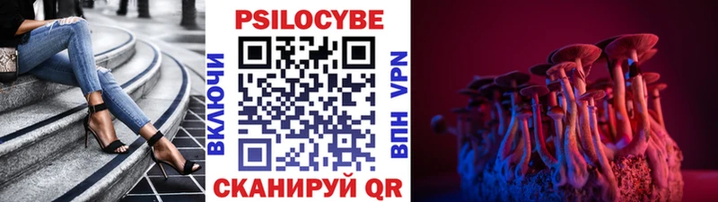 Псилоцибиновые грибы Psilocybine cubensis  Верхнеуральск 